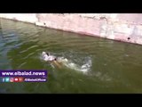 صدى البلد | أطفال القناطر يسبحون فى مياه النيل احتفالا بشم النسيم