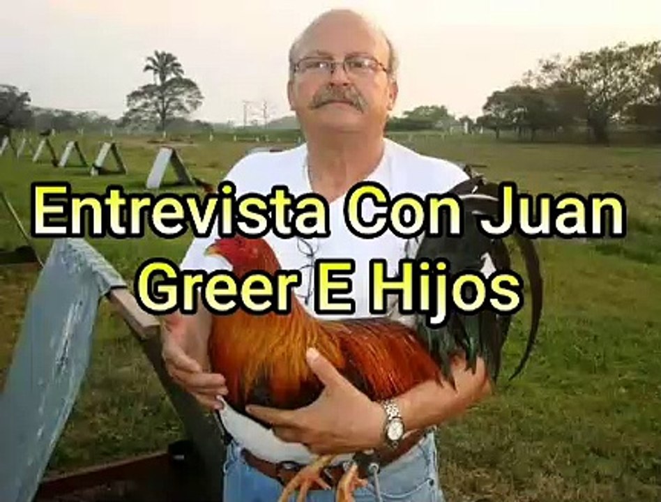 Entrevista a Juan Creer E hijos uno de  mejores criadores de gallos de pelea