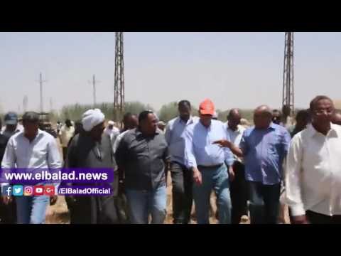 صدى البلد | أسوان تحصد القمح.. والمحافظ يحتفل بمشروع وادى النقرى ..