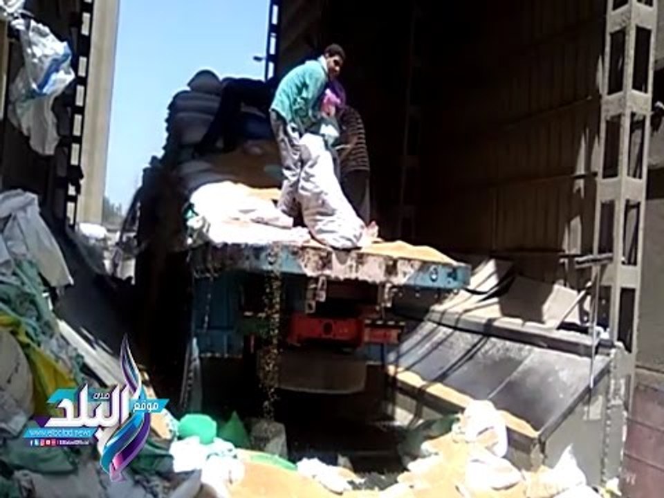 صدى البلد | حملة مكبرة للرقابة الإدارية علي الشون والصوامع بالشرقية