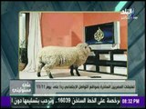 على مسئوليتي - شاهد كيف تعامل المصريين مع دعوات التخريب في 11/11