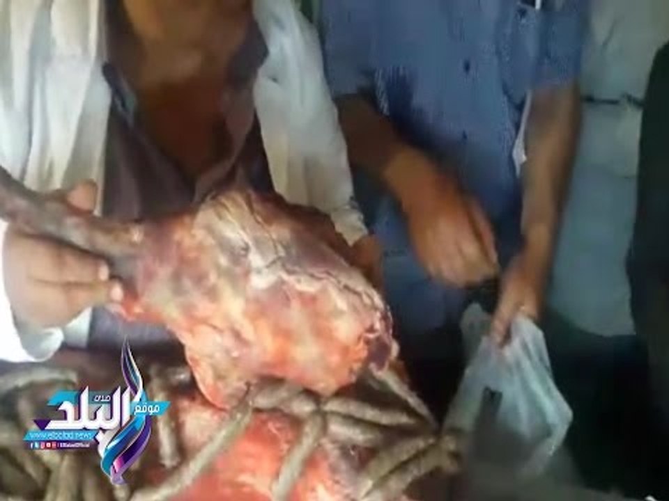 صدى البلد | الرقابة الإدارية بالغربية تضبط أكثر من 80 كيلو لحوم ودواجن فاسدة بأسواق المحلة