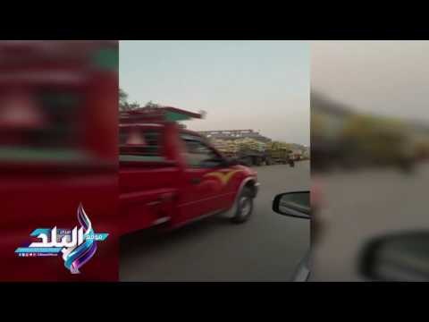 صدى البلد | طوابير سيارات القمح أمام صوامع بالشرقية