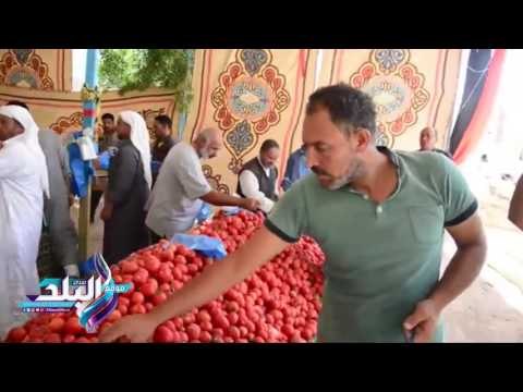صدى البلد | محافظ مطروح يتفقد منفذي بيع الخضار والفاكهة المدعمة