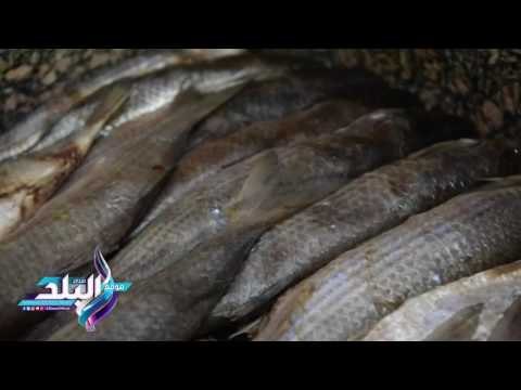 صدى البلد | اسعار الرنجة و الفسيخ تزامنا مع اقتراب عيد الفطر المبارك