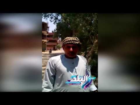 صدى البلد | رى الاراضى الزراعيه بمياه الصرف الصحى بقريه ترسا