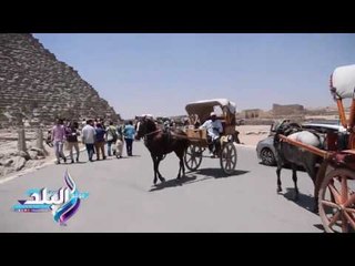 صدى البلد |مواطنون يحتفلون بثالث أيام عيد الفطر بركوب الخيال والجمال امام اهرامات الجيزة