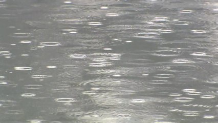 [날씨] 흐리고 충청 이남 비...제주·남해안 강풍 주의 / YTN