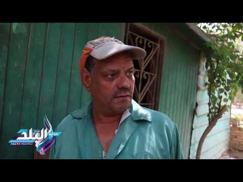 صدى البلد | الغابات الشجرية تجربة ناجحة لتحويل مقلب قمامة إلى حديقة