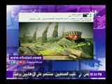صدى البلد | «موسى» يعرض صورا ومحادثات تثبت تورط حماس في هجوم رفح الارهابي