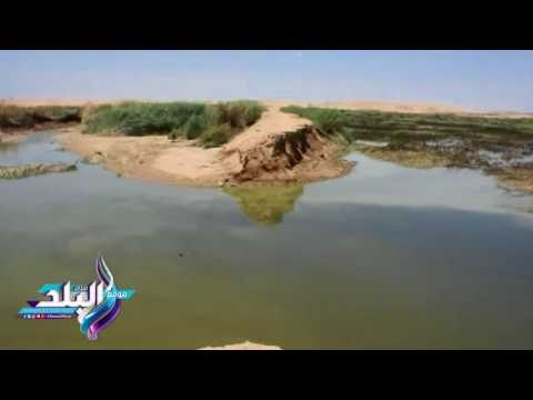 صدى البلد | أسوان تسابق الزمن لإحتواء تداعيات كسر الجسر الترابى