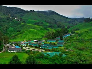 الرحالة المصرية يارا يحيي وتفاصيل ازاي تاخد اجازة في ماليزيا بـ60 جنية وتاكل بـ15 جنية مصري