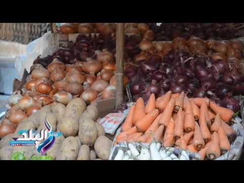 صدى البلد | انخفاض أسعار الخضار والفاكهة اليوم بالاسواق