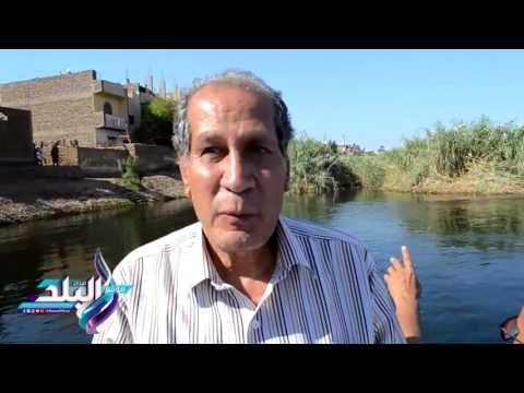 صدى البلد | تفيفت جزيرة عالقة أسفل كوبري بالأقصر
