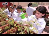 شاهد أول مدرسة حكومية مصرية صديقة للبيئة