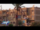 صدى البلد | شاهد.. أطفال طور سيناء يتسلقون أشجار النخيل لجنى البلح