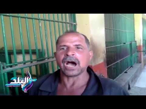 صدى البلد | شادية ونادية وميرفت أشهر زوجات الأسود بحديقة حيوان بني سويف