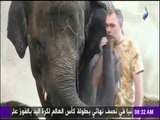 صباح البلد - شاهد أصغر فيلة مهدد بالإنقراد
