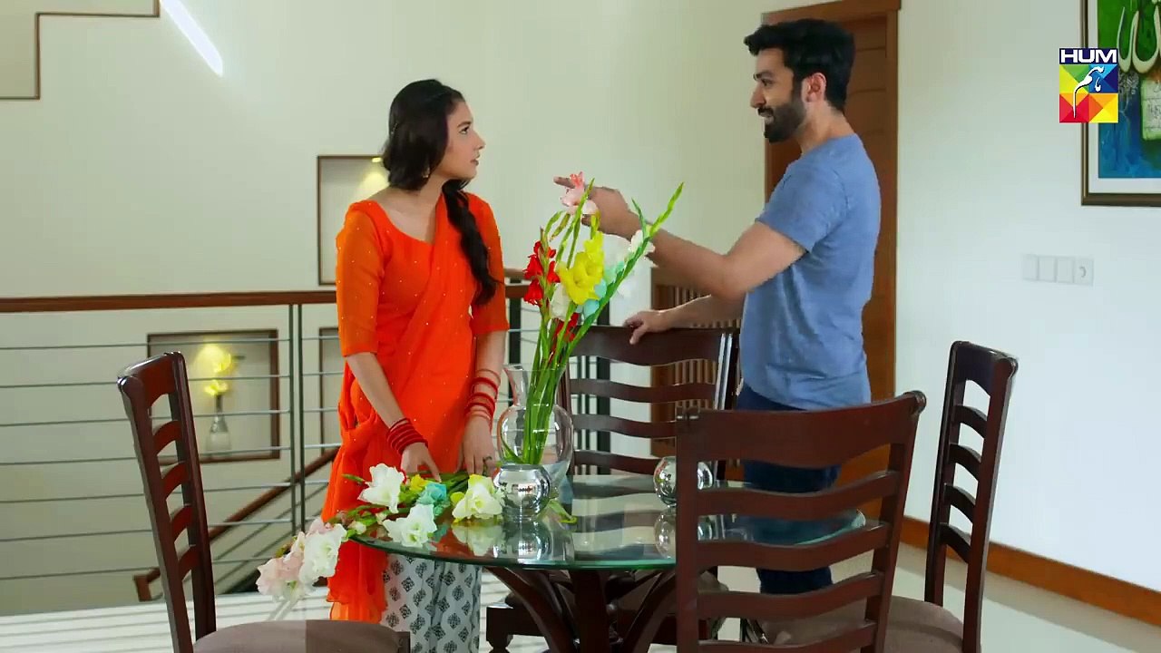 Aatish Episode#22 HUM TV