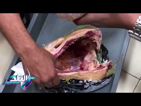 صدى البلد | إحباط محاولة سيدة تهريب 3700 قرص مخدر للسعودية داخل لحوم مجمدة