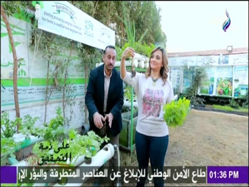 على ذمة التحقيق | شاهد..الزراعة بدون تربة ”بأستخدام مخلفات الأسماك وتحويلها الى غذاء للنبات“