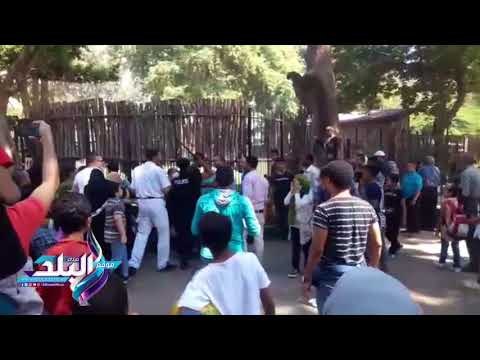 صدى البلد | تدخل الأمن لفض اشتباك داخل حديقة الحيوان