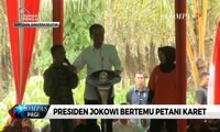 Bertemu Petani Karet, Presiden Jokowi Serahkan Bibit dan Ikut Sadap Karet