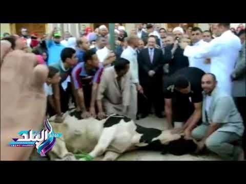 صدى البلد | محافظ بني سويف والقيادات الأمنية والعسكرية يشاركون المواطنين فرحتهم بالعيد