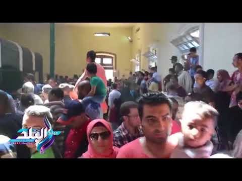 صدى البلد | ذعر بين الاطفال فى حديقة الحيوان بسبب الأسد