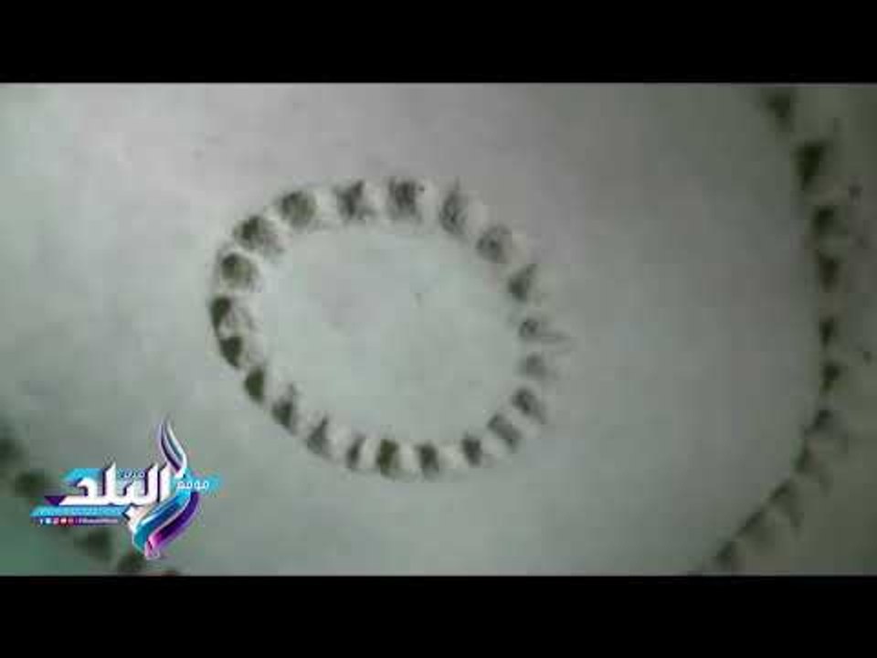 صدى البلد | وزير التنمية يدعم الفيوم بـ 2 مليون جنيه للقضاء على الأمية