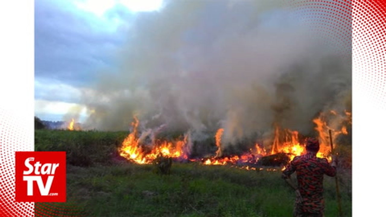 Wildfires raze 20 acres of land in Lawas