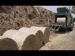 ست الستات - د/ ناديه عبده : " محافظ البحيرة " وتفاصيل مشروع قش الأرز والأنجازات العائدة للمواطن