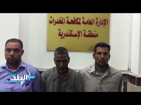 صدى البلد | ضبط 83 ألف قرص مخدر قبل ترويجها بـ 4 محافظات