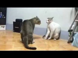 عندما تملك  قلب شجاع لاشئ  يقف امامك11