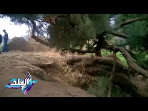 صدى البلد | قرية الصياد بنجع حمادى:نهر النيل تسبب فى ابتلاع مئات الأفدنة من أجود الأراضى الزراعية