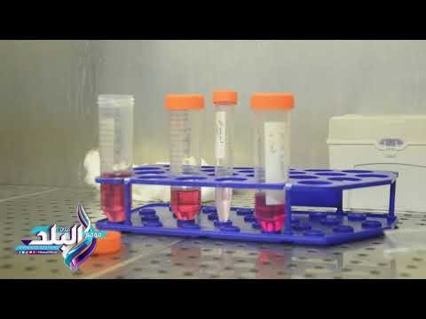 صدى البلد | لأول مرة.. لقاح مصري 100% لمكافحة «إنفلونزا الطيور»