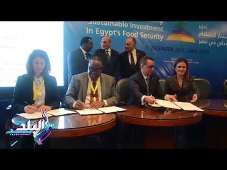 صدى البلد |  وزيرة الاستثمار: القطاع الخاص شريك...