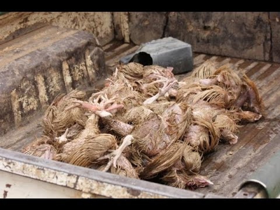 على مسئوليتي - أحمد موسى - مفاجاءة  مصر تستورد...