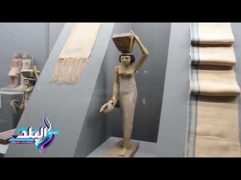 صدى البلد | وزير التعليم العالي: مصر أول من اقترحت مسمى مكتب اليونسكو الميداني للتعاون العلمي