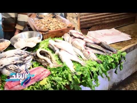 صدى البلد | انخفاض في اسعار الاسماك بالاسواق