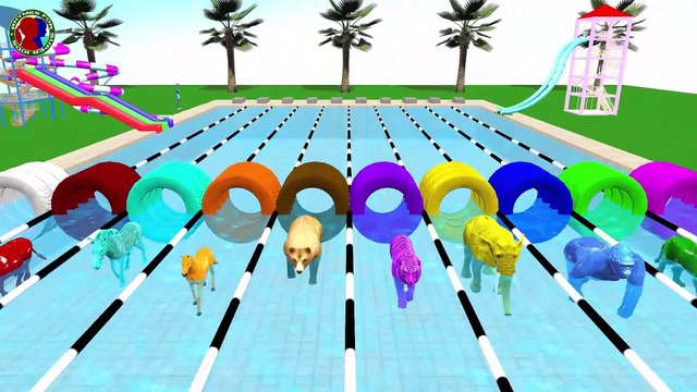 Learn Colors With Animals Names For Kids ## || tiger bear lion gorilla horse elephant cow