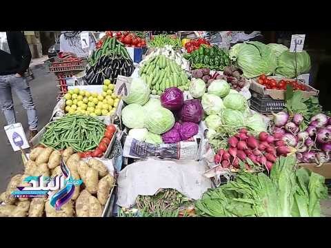 صدى البلد | أسعار الأسماك و الخضراوات و اللحوم بالأسواق.