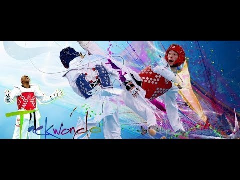 صدى البلد | رئيس الاتحاد الافريقى للتايكوندو: رؤساء الاتحادات مغلوبون على أمرهم