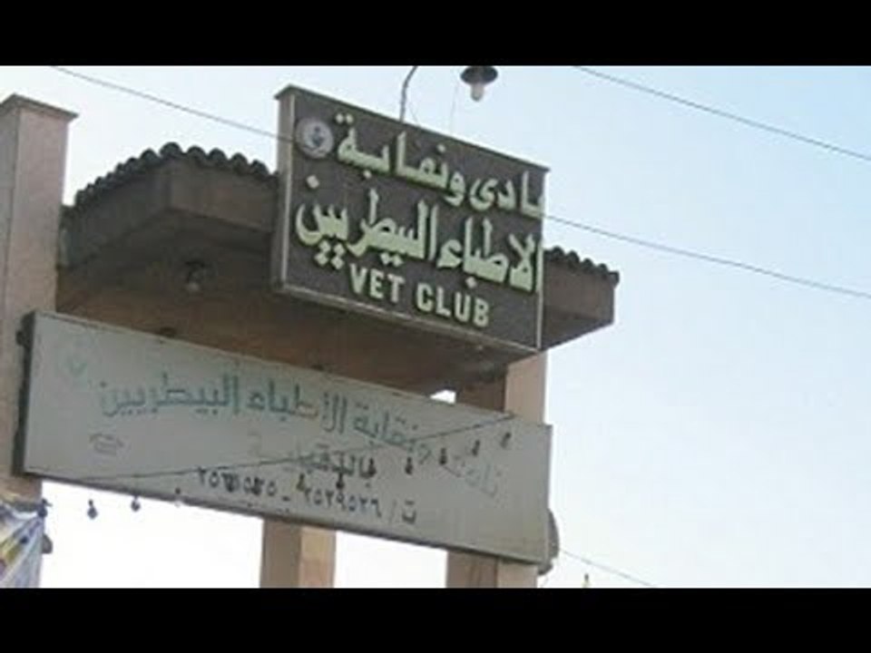 صدى البلد | نقيب البيطريين لـ"صدى البلد": اطالب باقالة محافظ الغربية وأسيوط