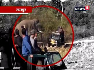 कॉर्बेट नेशननल पार्क में पर्यटकों पर भड़का हाथी, जिप्सी पर किया हमला