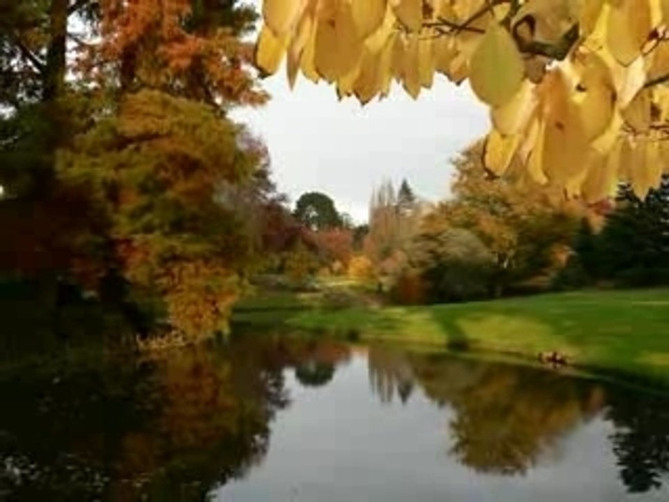 Beaujoire automne 2007