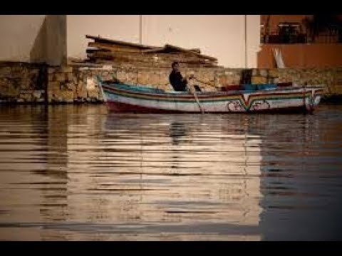 صدى البلد | نائب عن الفيوم: «بحيرة قارون لا توجد بها سمكة واحدة»