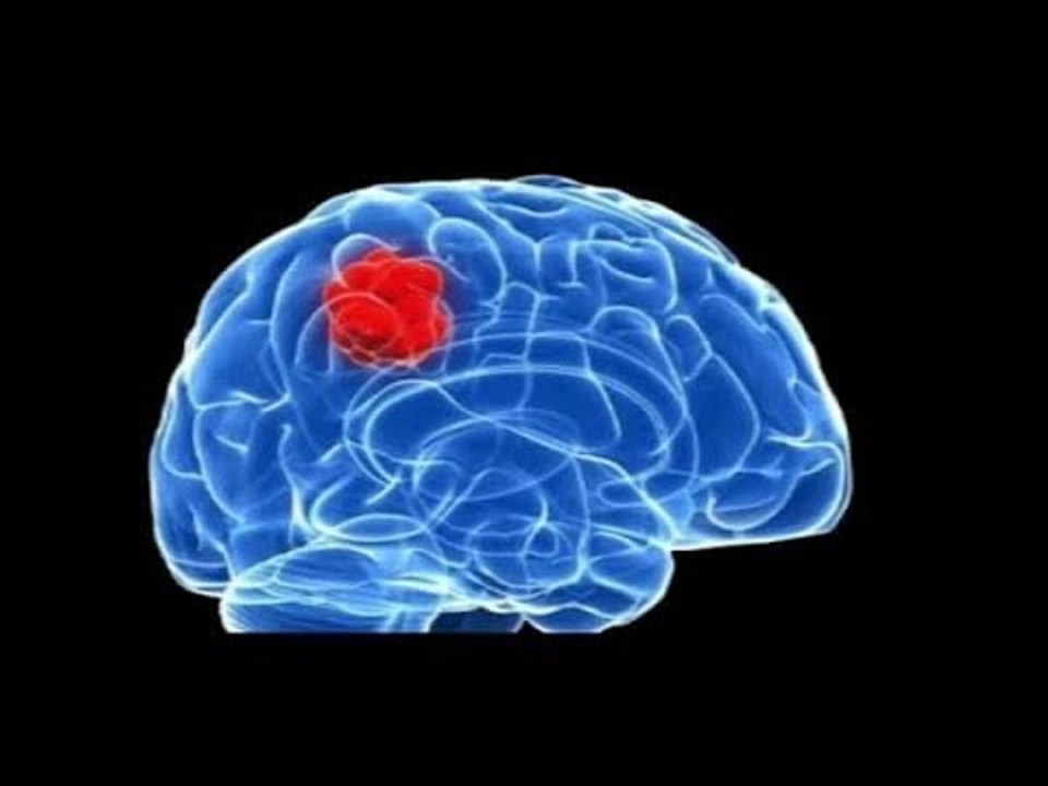صدى البلد | العلاج المناعي يساهم في ارتفاع نسبة...