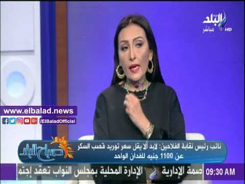 صدى البلد |نائب نقيب الفلاحين: سنتوقف عن زراعة قصب السكر في حال عدم قبول الحكومة لطلباتنا