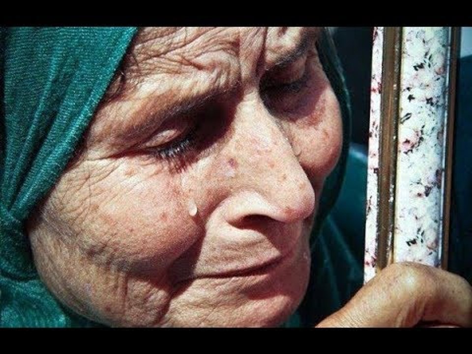 صدى البلد | مشروع  قانون عقوق الوالدين:" يصعب علينا ولادنا" وآخرين:" يستحقوا الموت "